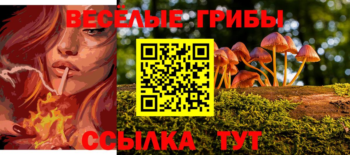 Галлюциногенные грибы прущие грибы Кудымкар
